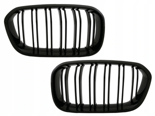 Решітка радіатора (ніздрі) BMW F20 / F21 (15-18 р.в.)
