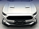 Накладка переднего бампера Ford Mustang MK6.5 (ABS-пластик)